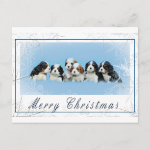 カバリエールキングチャールズスパニエル犬クリスマス シーズンポストカード