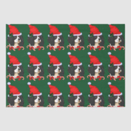 カバリエールキングチャールズスパニエル犬クリスマス 薄葉紙