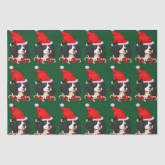 カバリエールキングチャールズスパニエル犬クリスマス 薄葉紙