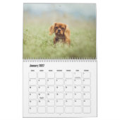 カバリエールキングチャールズスパニエル犬ドッグカレンダー カレンダー (1月 2027)