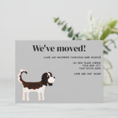 カバリエールキングチャールズスパニエル犬ドッグムービングニューホーム 案内状 (スタンド正面)