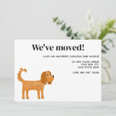 カバリエールキングチャールズスパニエル犬ドッグムービングニューホーム 案内状 (スタンド正面)