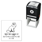 カバリエールキングチャールズスパニエル犬ドッグライブラリーブック セルフインキングスタンプ (インサイチュ)