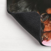 カバリエールキングチャールズスパニエル犬パピーズ マウスパッド (コーナー)