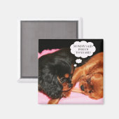 カバリエールキングチャールズスパニエル犬パピーズ マグネット (正面/裏面)