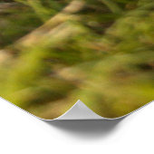 カバリエールキングチャールズスパニエル犬パピー花の後 ポスター (角)