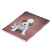 カバリエールキングチャールズスパニエル犬パピー ノートパッド (回転)