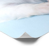 カバリエールキングチャールズスパニエル犬パピー ポスター (角)