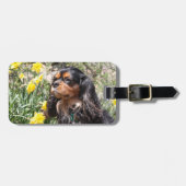 カバリエールキングチャールズスパニエル犬ブラザー&シスター ラゲッジタグ (正面横)