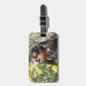 カバリエールキングチャールズスパニエル犬ブラザー&シスター ラゲッジタグ (正面縦)