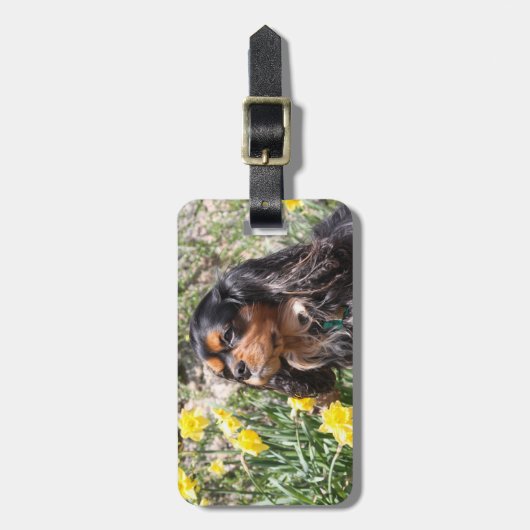 カバリエールキングチャールズスパニエル犬ブラザー&シスター ラゲッジタグ (正面縦)