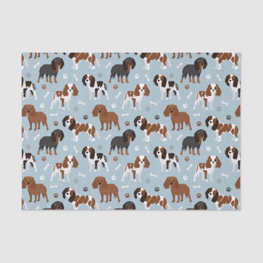 カバリエールキングチャールズスパニエル犬ポーズアンドボーンズ 薄葉紙 (正面)