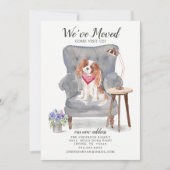 カバリエールキングチャールズスパニエル犬ムービングアナウンス 案内状 (正面)