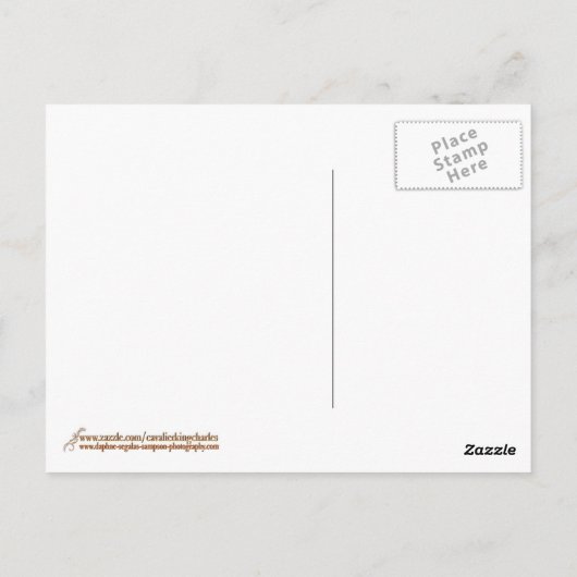 カバリエールキングチャールズスパニエル犬ランニングズはがき ポストカード (裏面)