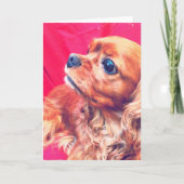 カバリエールキングチャールズスパニエル犬ルビーグリーティングカード カード (正面)