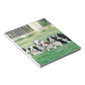 カバリエールキングチャールズスパニエル犬子犬 ノートパッド (アングル)