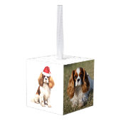 カバリエールキングチャールズスパニエル犬2フォトホリデイ キューブオーナメント (裏面アングル)