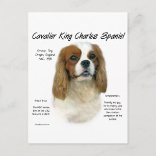 カバリエールキングチャールズスパニエル犬（ブレンハイム）の歴史 ポストカード
