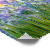 カバリエールキングチャールズ（ブレンハイム） – ガーデン ポスター (角)