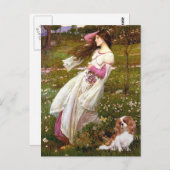 カバリエ2 (Bl) – ウィンドフラワー ポストカード (正面/裏面)