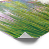 カバリエ（トライカラー5） – リリー2 ポスター (角)