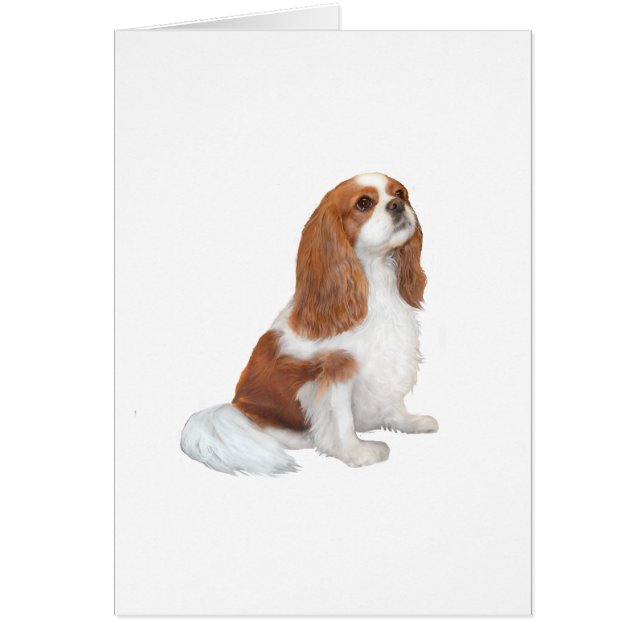 カバリエA1 – ブレンハイム(F) (正面)