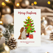 カバリヤキングチャールズスパニエル犬クリスマスカード シーズンカード