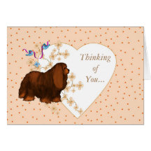 カバリヤキングチャールズスパニエル犬