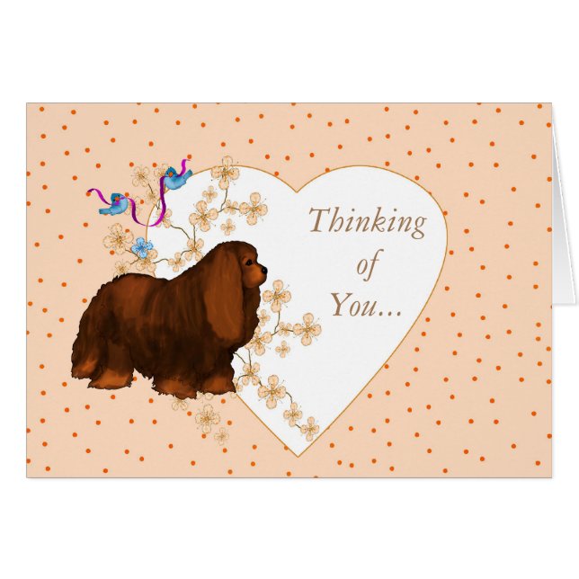 カバリヤキングチャールズスパニエル犬 (正面横)