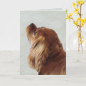 カバリヤキングチャールズスパニエル犬 カード (黄色い花)