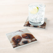 カバリヤキングチャールズスパニエル犬 ガラスコースター (アングル)