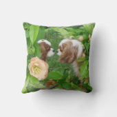 カバリヤキングチャールズスパニエル犬 クッション (裏面)