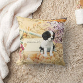 カバリヤキングチャールズスパニエル犬 クッション (ブランケット)