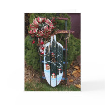 カバリヤキングチャールズスパニエル犬