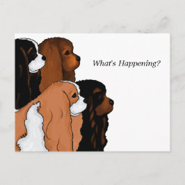 カバリヤキングチャールズスパニエル犬 ポストカード