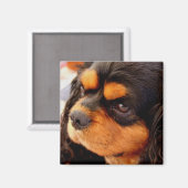 カバリヤキングチャールズスパニエル犬 マグネット (正面/裏面)