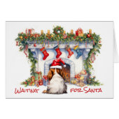 カバリヤーキングチャールズスパニエル犬待機サンタ (正面横)