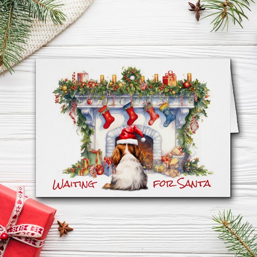 カバリヤーキングチャールズスパニエル犬待機サンタ