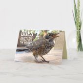 カバーおもしろい文字の鳥の写真グリーティング カード (正面)