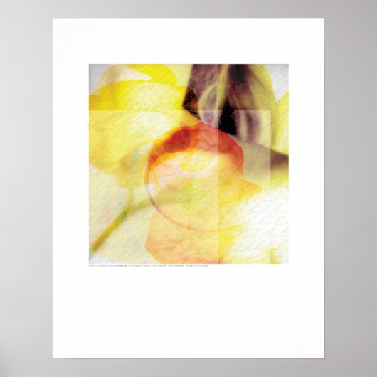 カバーアート – 茎と首 – グリエゴ ポスター (正面)