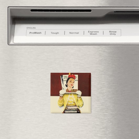 カバーガール マグネット (インサイチュ (食洗機))