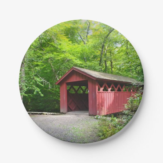 カバーブリッジ紙プレート ペーパープレート (正面)