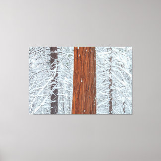 カバー キャンバスプリント