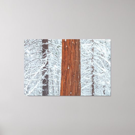 カバー キャンバスプリント (正面)