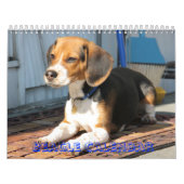 カバー、ビーグル犬のカレンダー カレンダー (カバー)