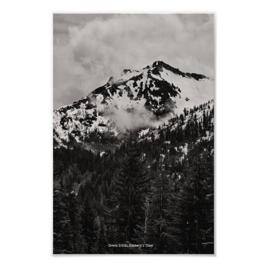 カバー フォトプリント            (正面)