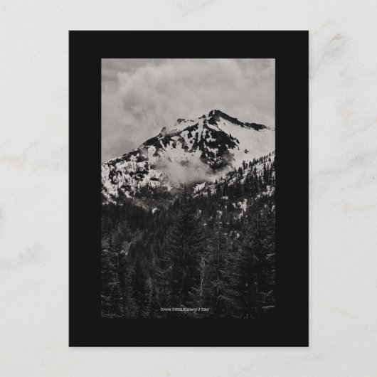 カバー ポストカード (正面)