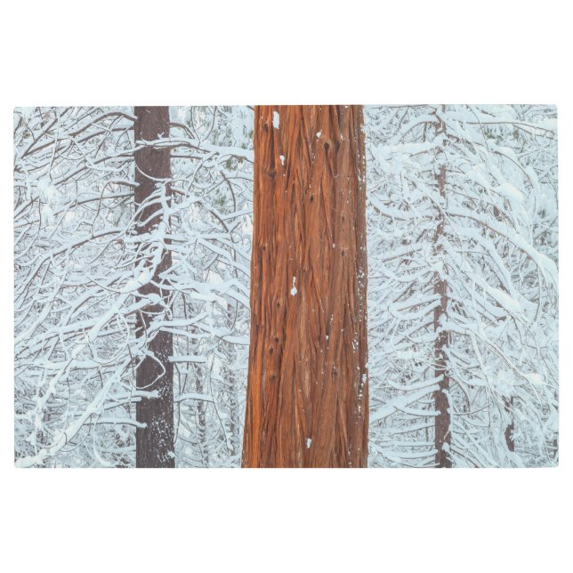 カバー メタルプリント (正面)