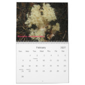 カバー、北西の菌類 カレンダー (2月 2027)