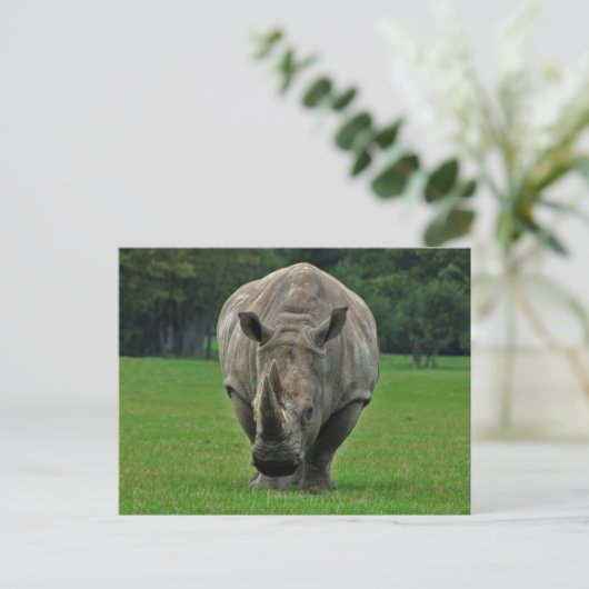 カバ葉書 ポストカード (スタンド正面)